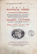 Nova_Plantarum_Genera_Michelio_ligth2