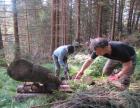 images/VAIA/vaia-gallery/vaia-catasta1.jpg