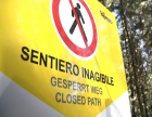 images/VAIA/vaia-gallery/vaia-sentiero.png