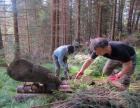 images/homepage/GW-top1/VAIA_lavori.jpg