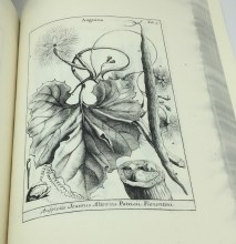 Libro_michelio_web2