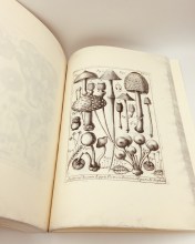 Libro_michelio_web