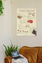 ambiente_web1