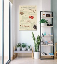 ambiente_web2