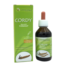 cordy-png